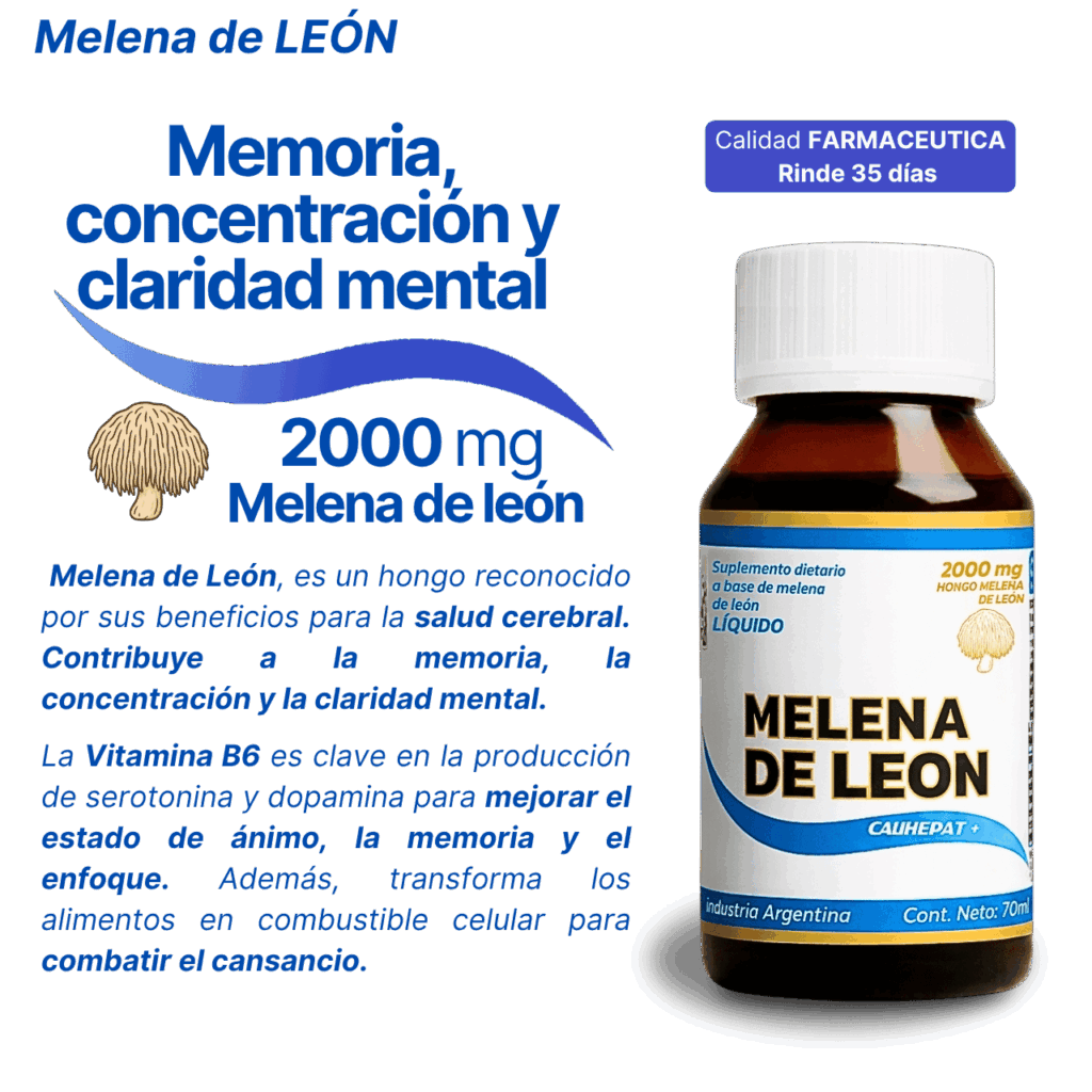 Melena-de-leon--bienestar-cognitivo (1)