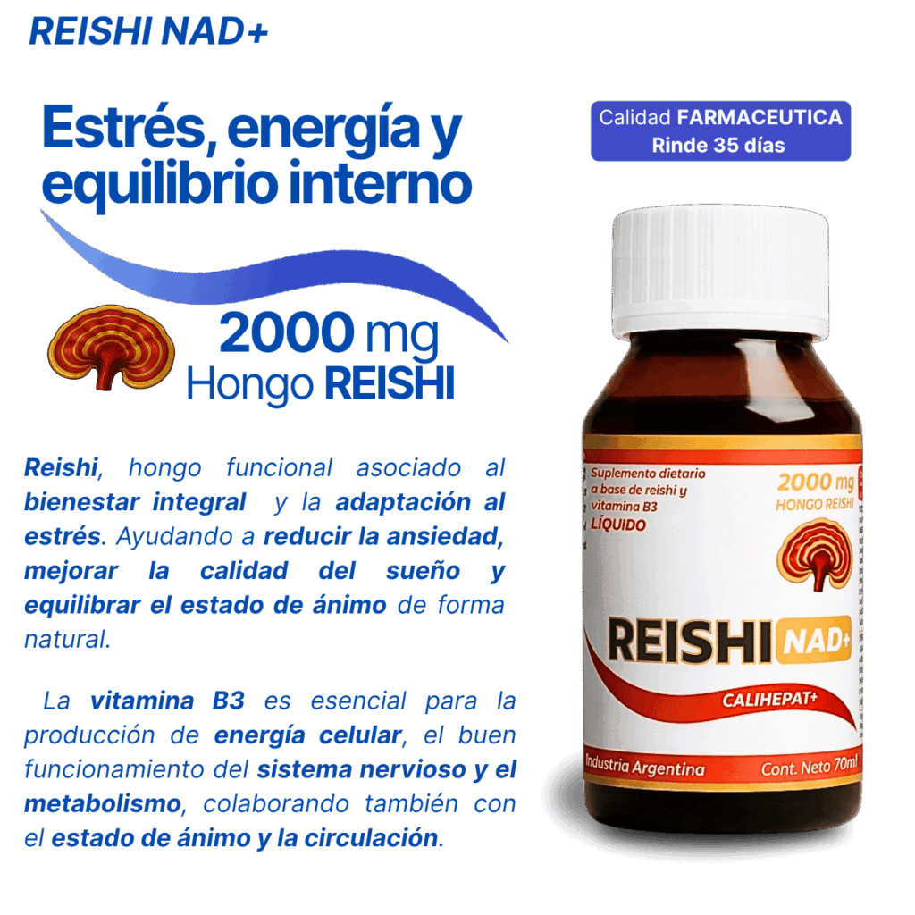 Reishi-bienestar-cognitivo (3)