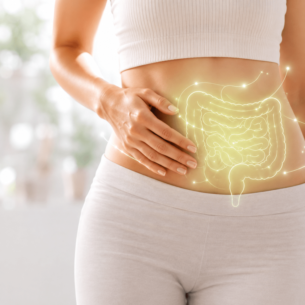 Ilustración del sistema digestivo sobre el abdomen de una mujer que representa los beneficios del consumo de fibra para la salud intestinal
